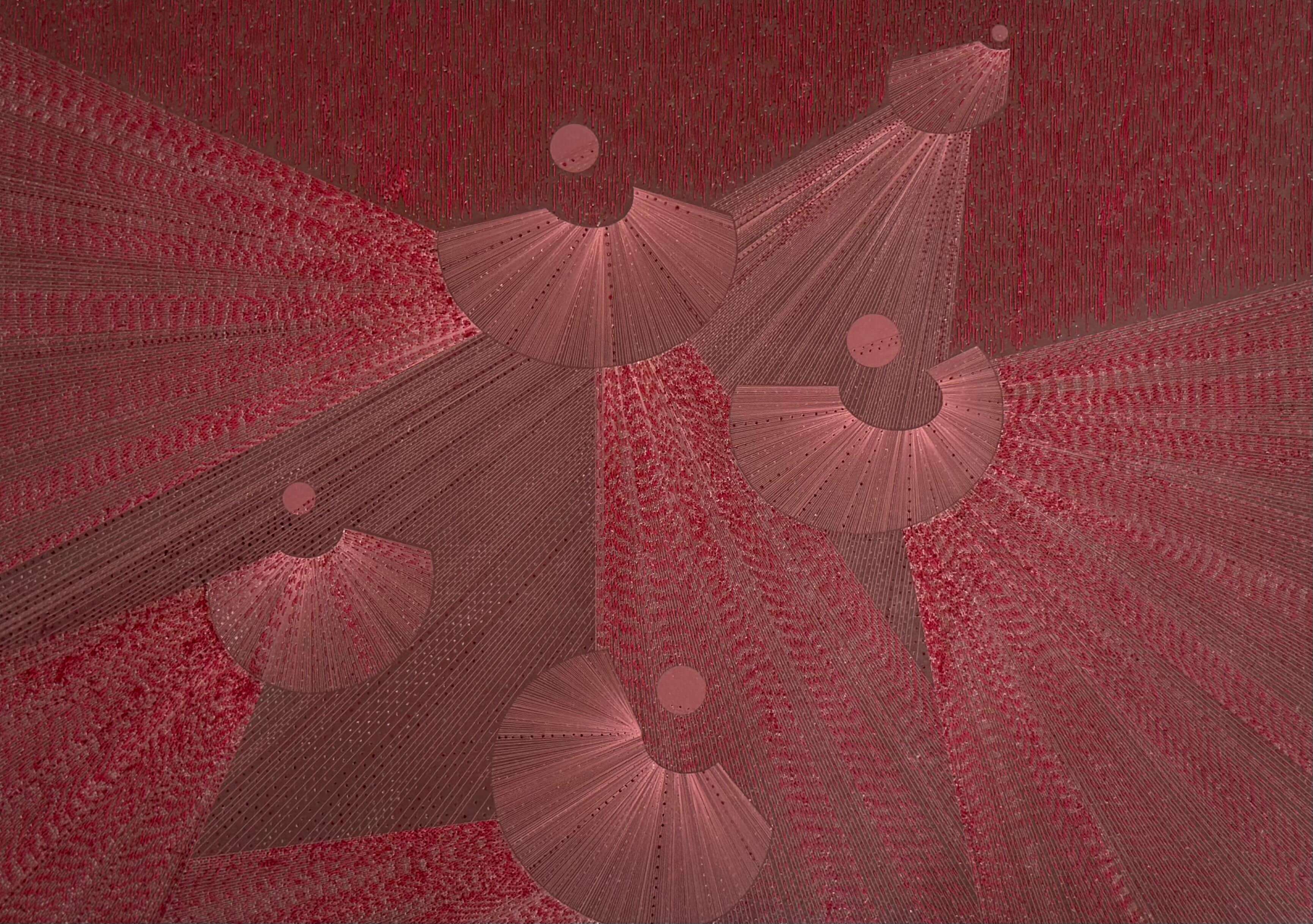 Untitled (2024)