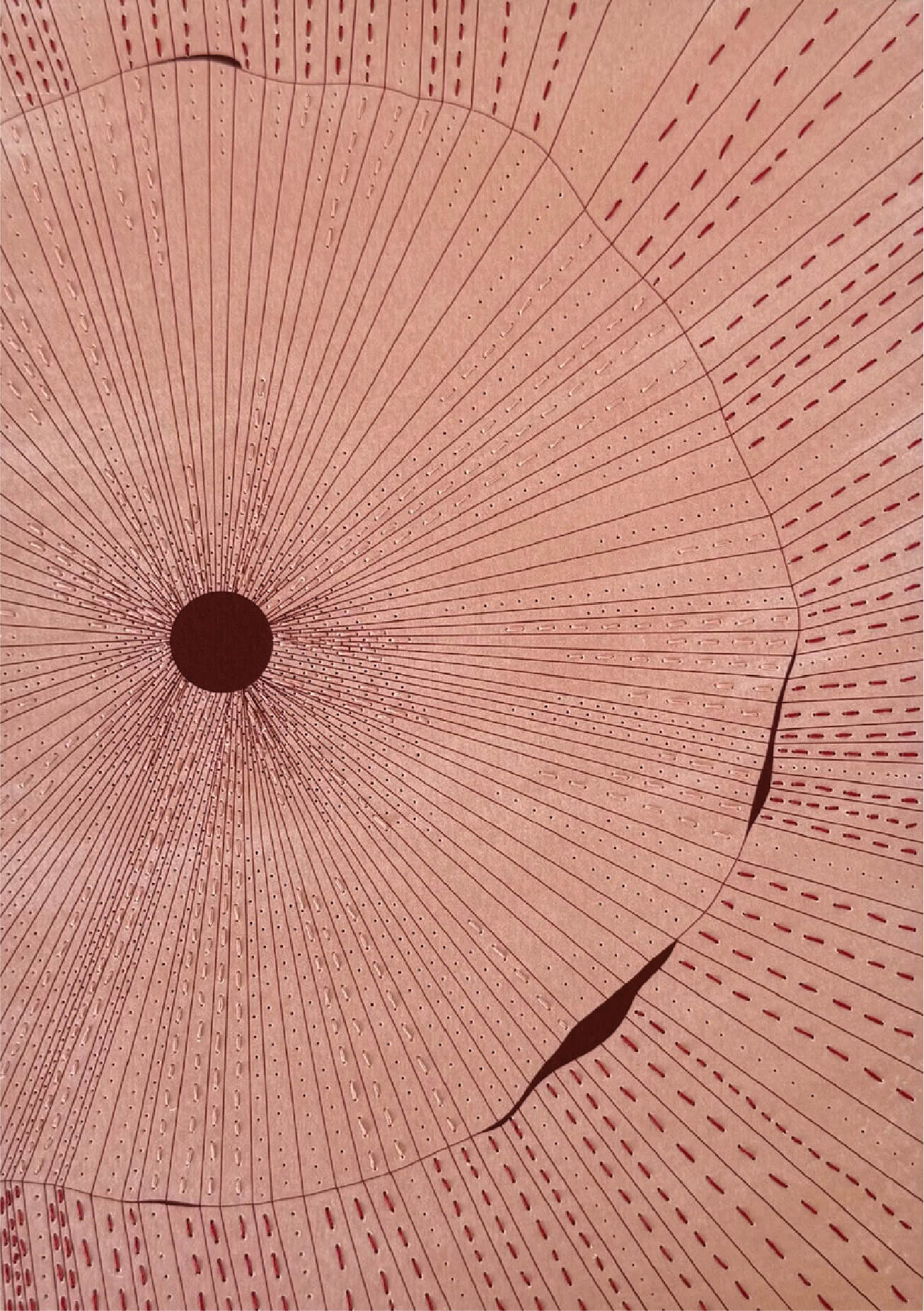 Untitled (2024)