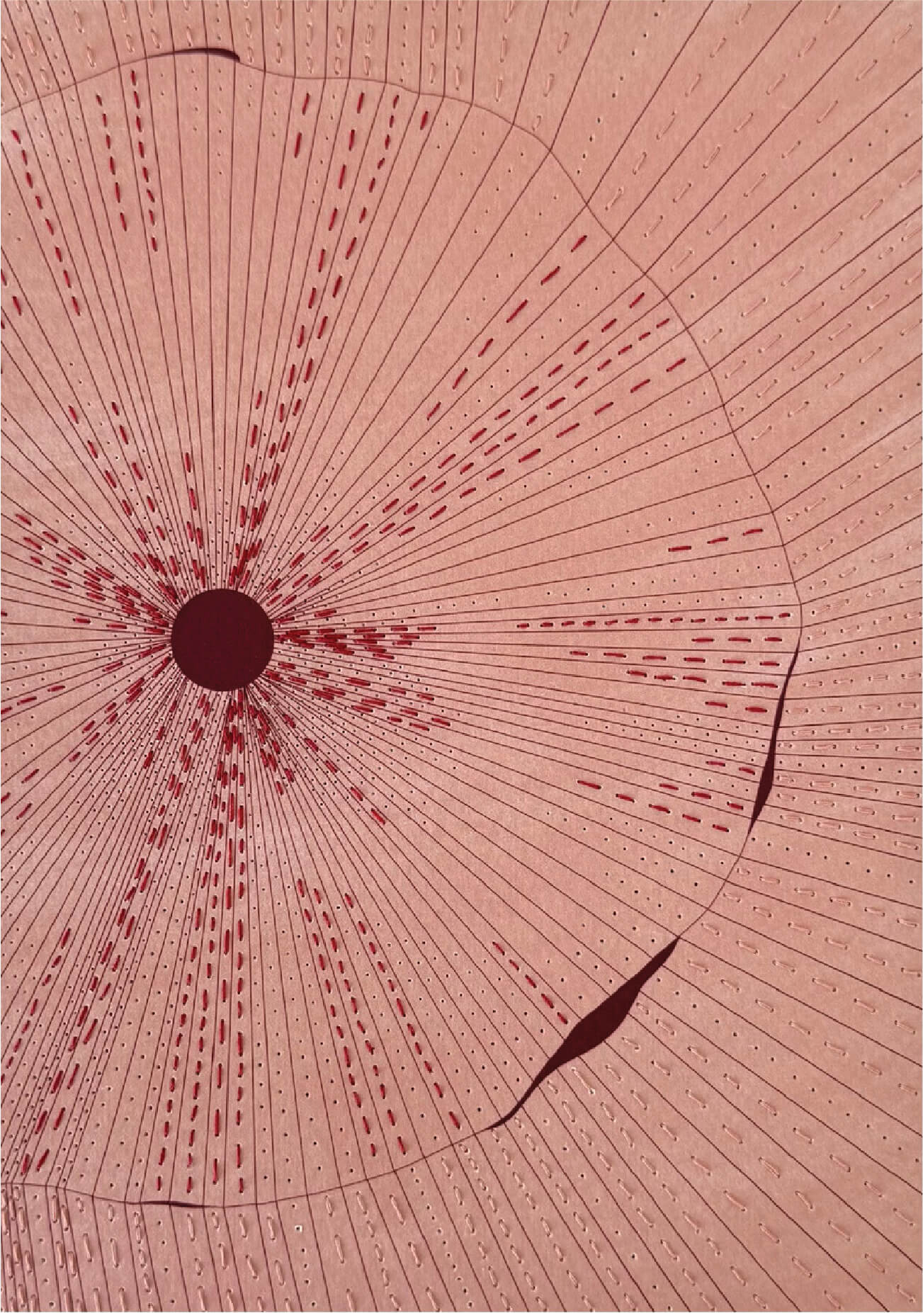 Untitled (2024)
