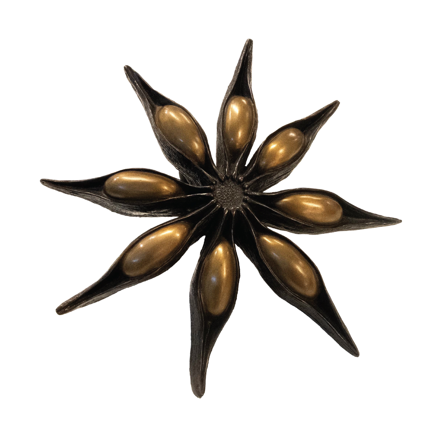 Anise One (2019)