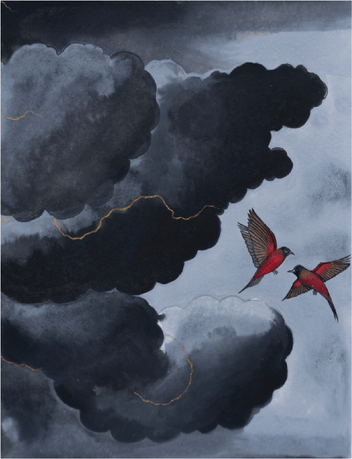 The Sky Remembers
