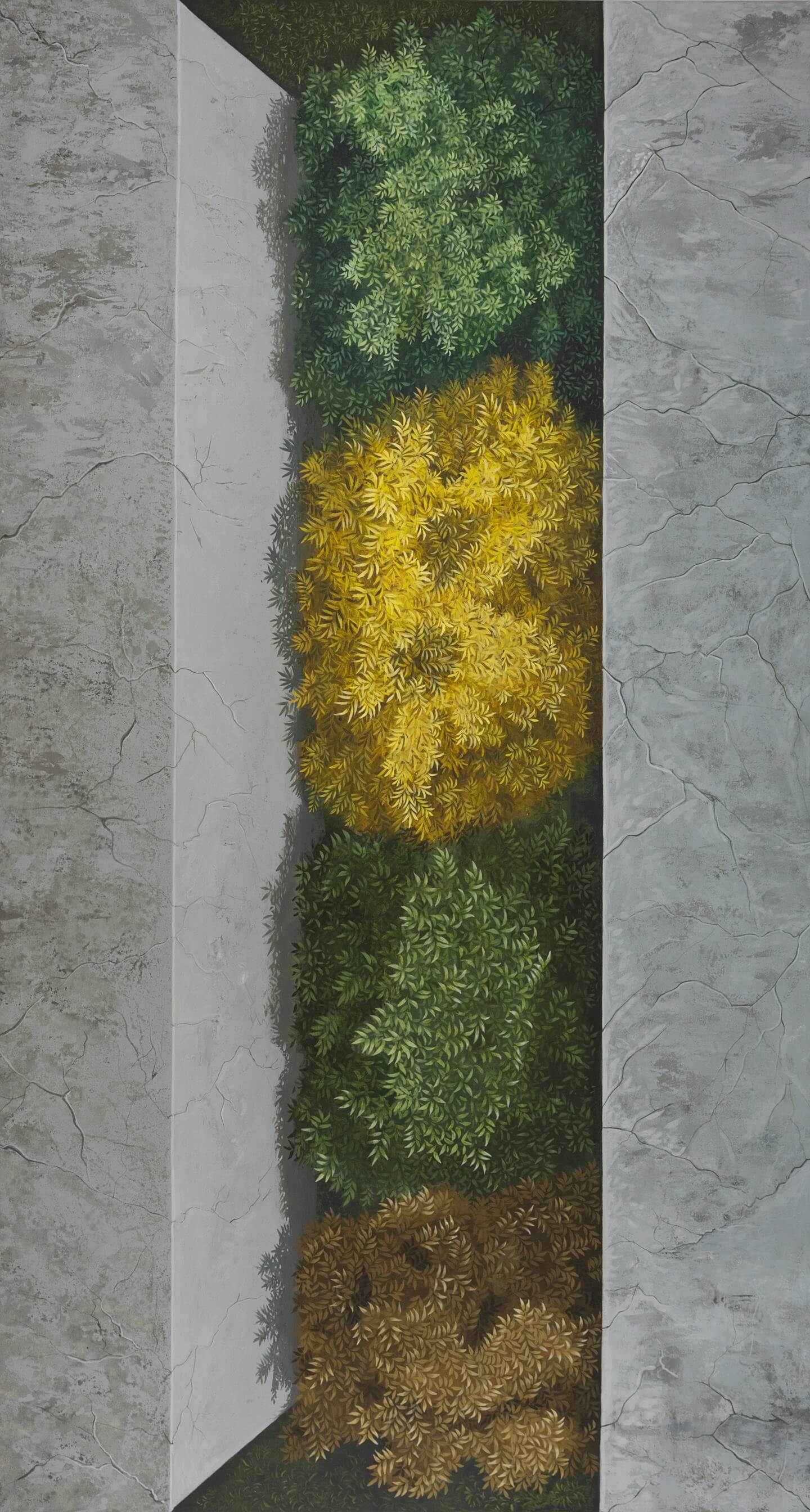 Top View
