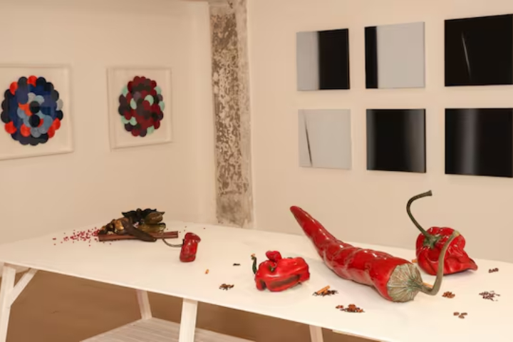 'Chromatic Currents' exhibition being held in Delhi marks 60 years of India-Singapore ties